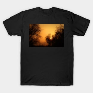 A bird watching the sunset? T-Shirt